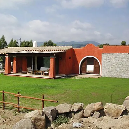 Terraced On The